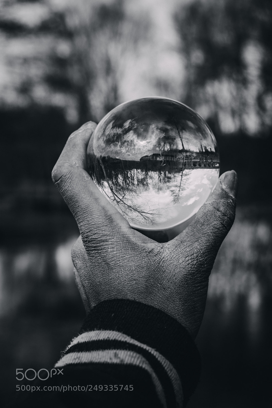 Nikon D3300 sample photo. Nature in hand photography