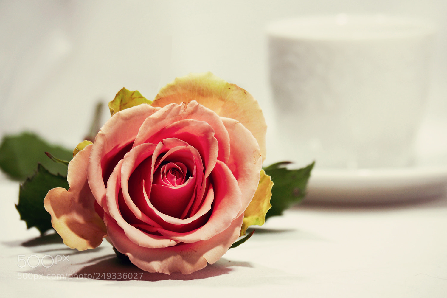 Olympus OM-D E-M10 II sample photo. . photography