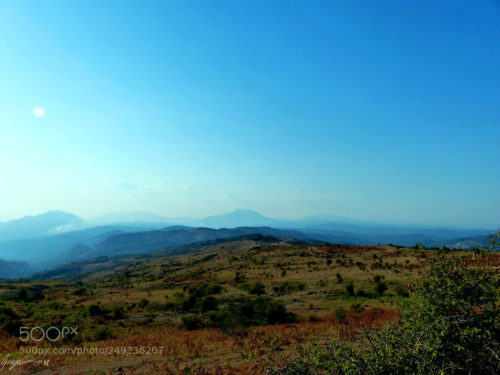 Panasonic Lumix DMC-FZ200 sample photo. Wild pollino photography