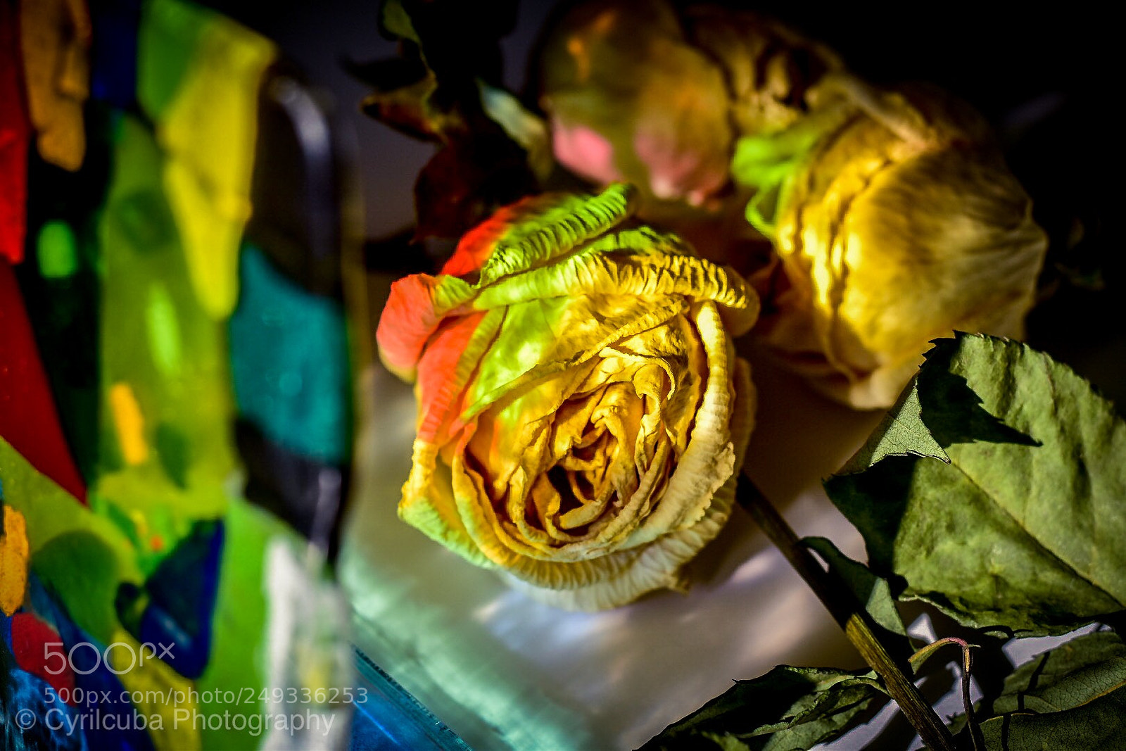 Nikon D5500 sample photo. Coloring death photography