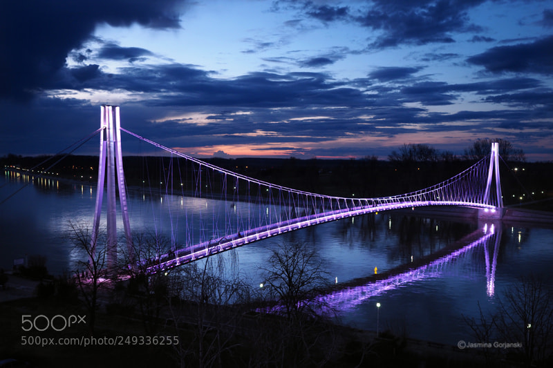 Olympus OM-D E-M1 Mark II sample photo. Bridge in blue photography