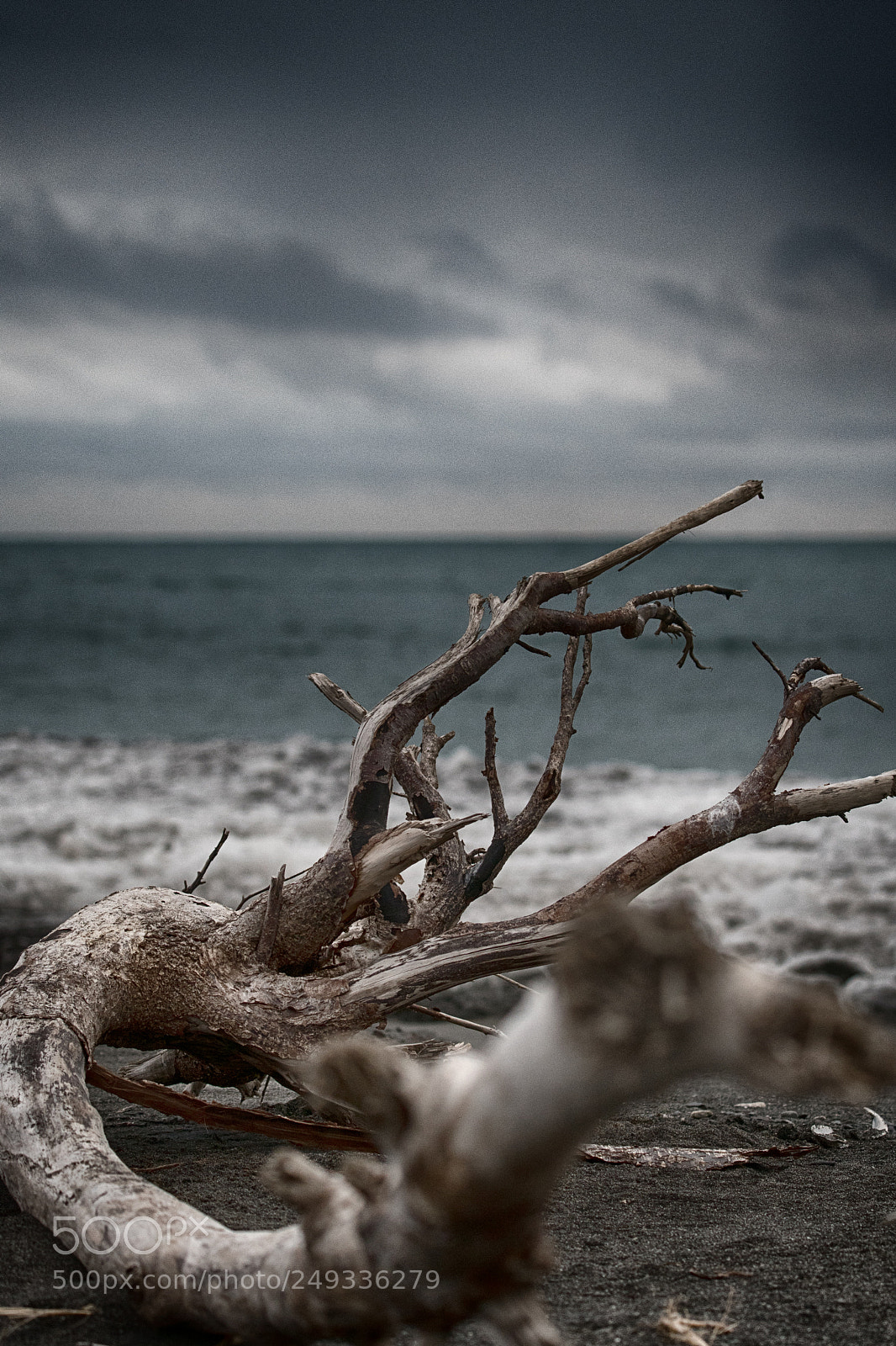 Nikon D500 sample photo. Aground photography