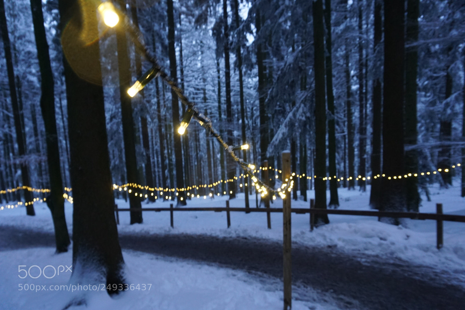 Sony a6000 sample photo. Untitled photography