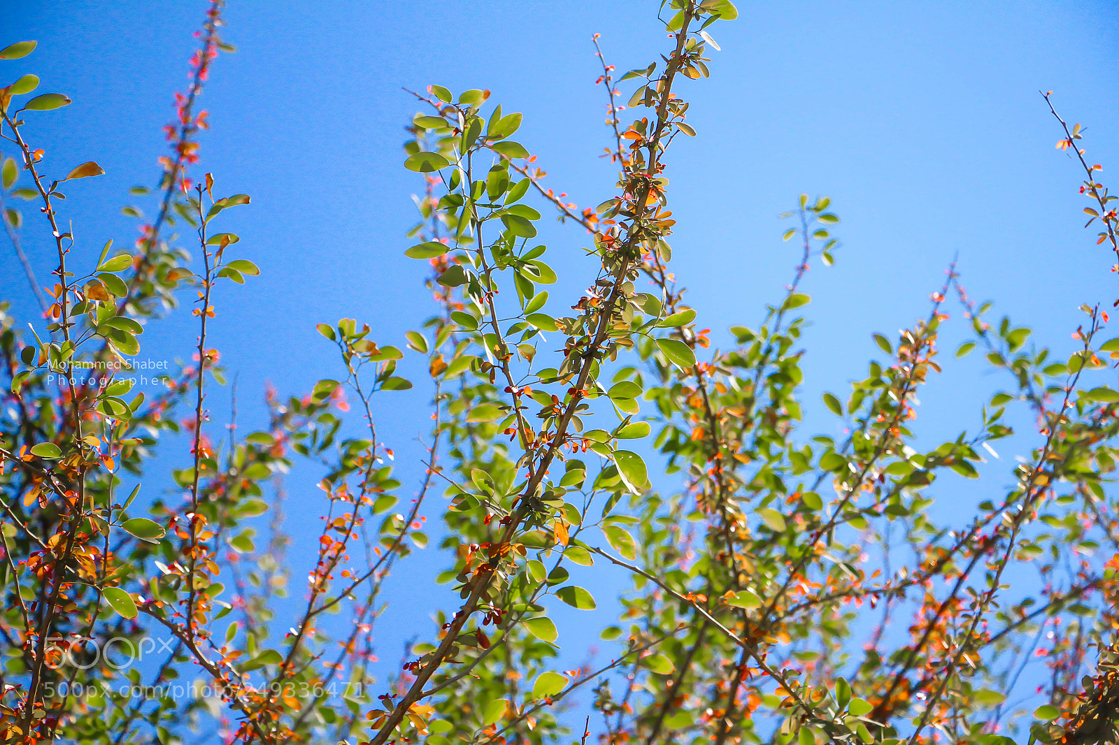 Canon EOS 7D sample photo. Untitled photography