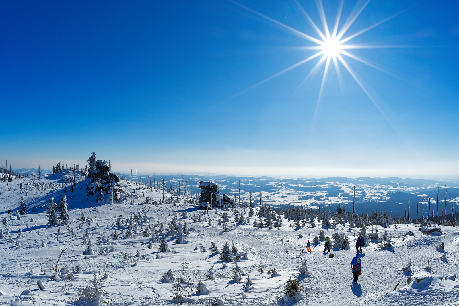 Nikon D7500 + Sigma 15mm F2.8 EX DG Diagonal Fisheye sample photo. Šumava photography