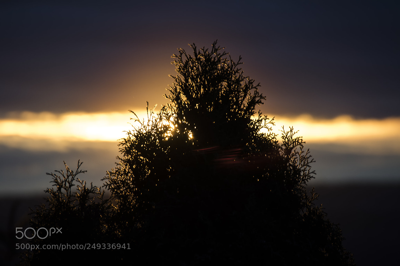 Nikon D810 sample photo. Sunset (first 2018) photography