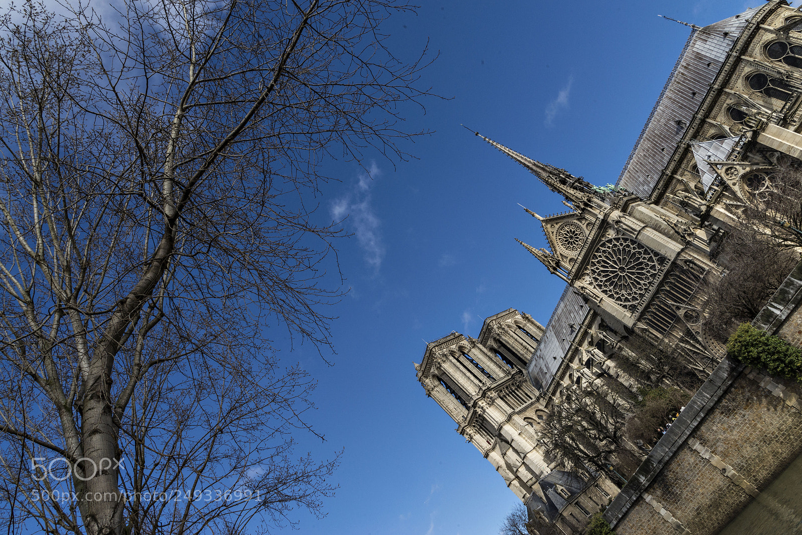 Nikon D610 sample photo. Thk photography