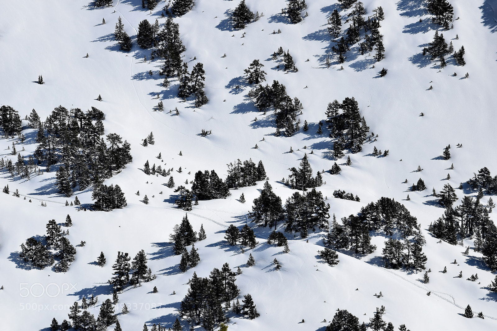 Nikon D5300 sample photo. Alpes ponctuée photography