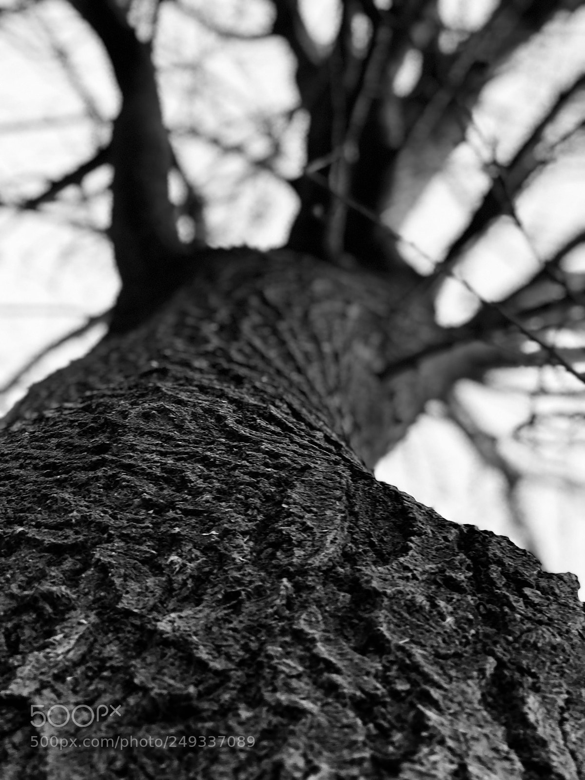 Apple iPhone 8 Plus sample photo. Untitled photography
