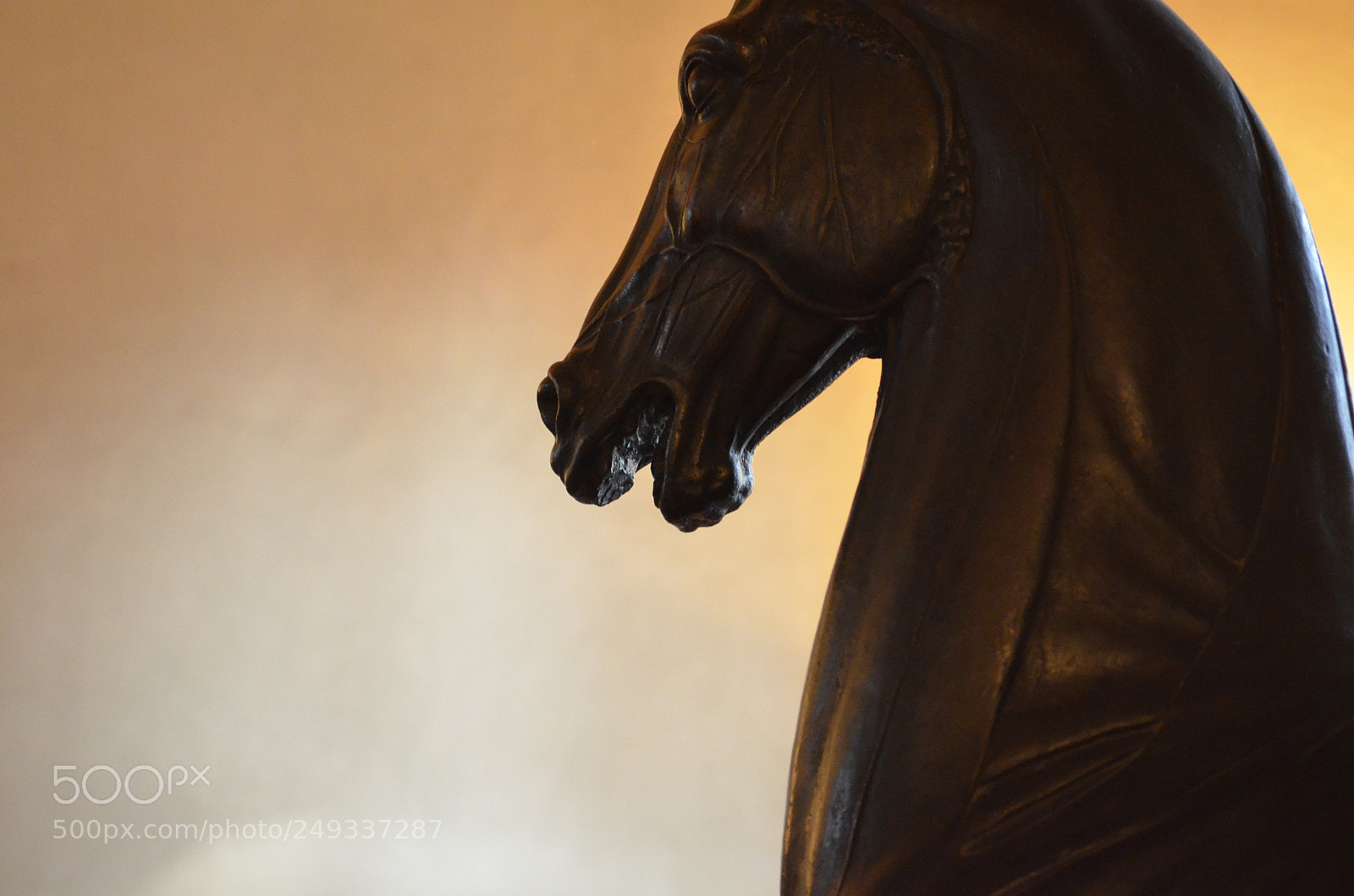 Nikon D5100 sample photo. Bronze photography