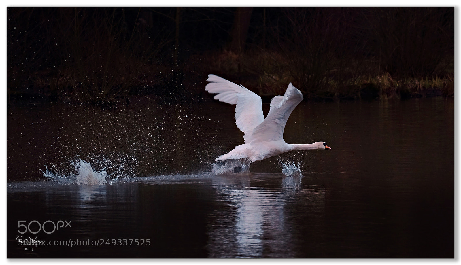 Fujifilm X-H1 sample photo. Taking off .... photography
