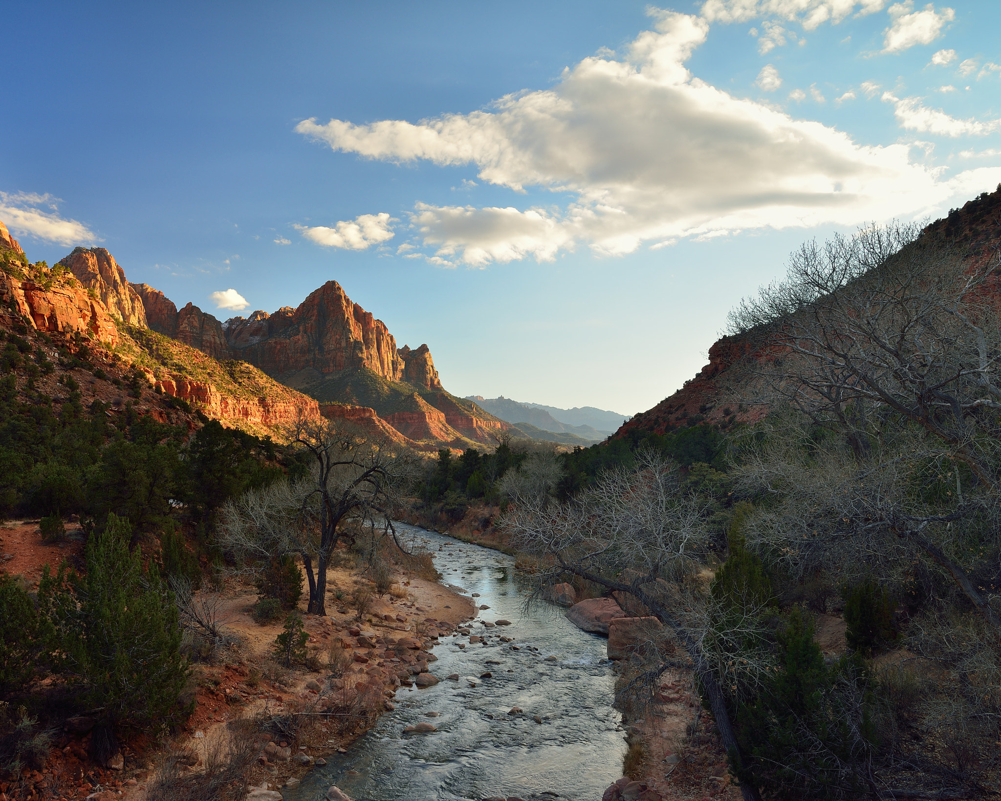 Nikon D800E + Nikon AF-S Nikkor 14-24mm F2.8G ED sample photo. Mt. watchman photography