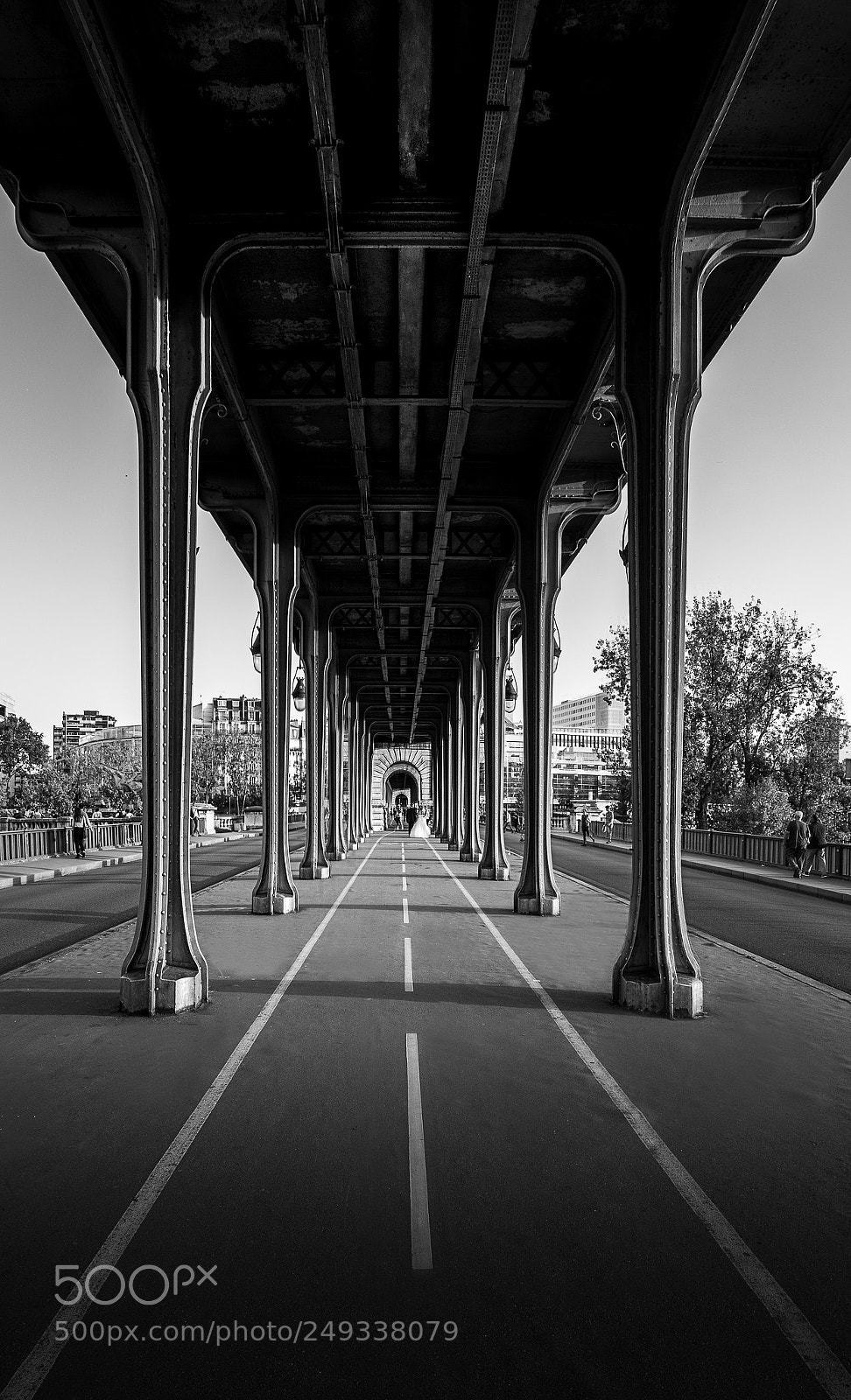 Nikon D810 sample photo. Pont de bir-hakeim paris photography
