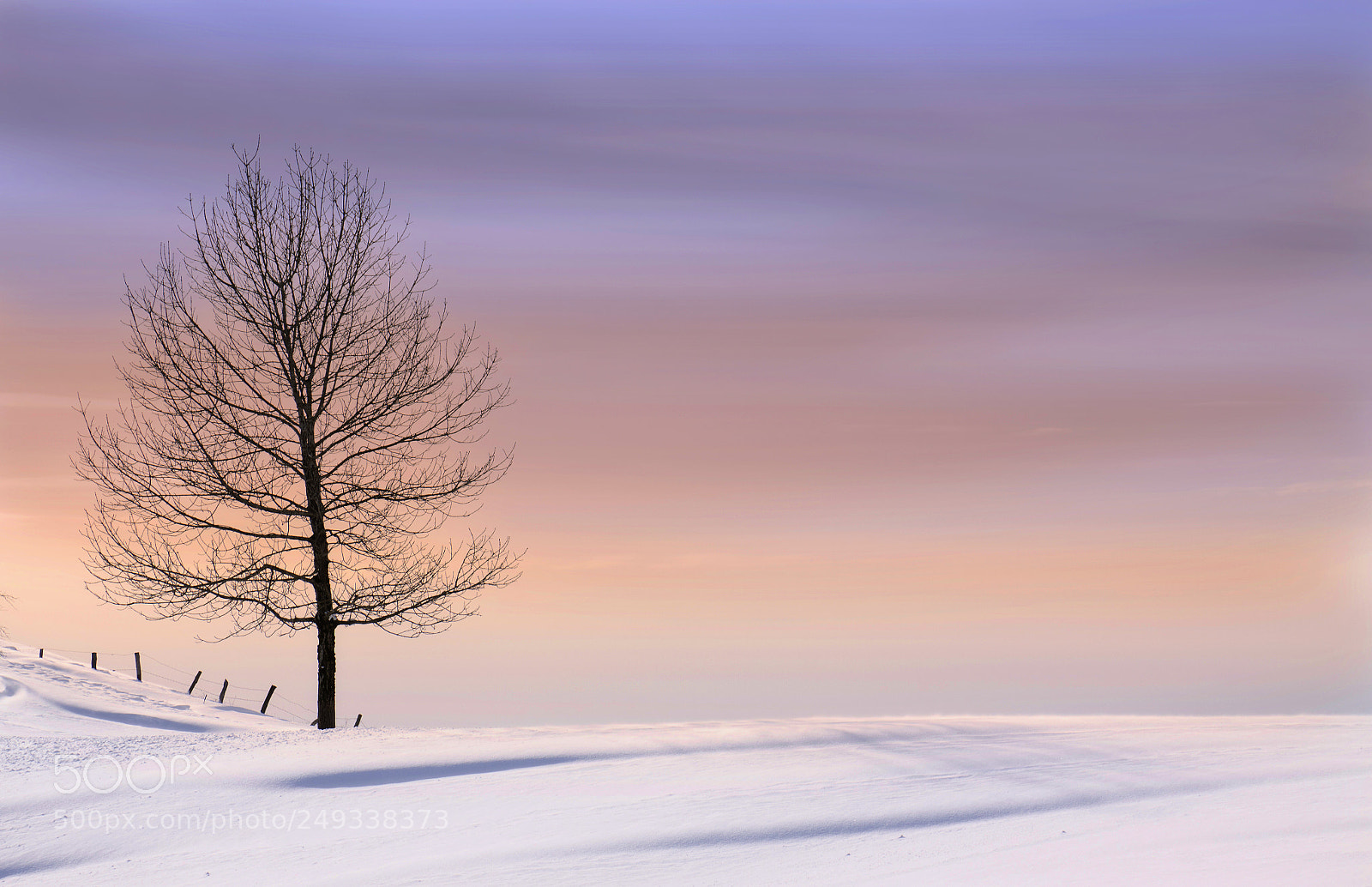Canon EOS 50D sample photo. Winter magic photography