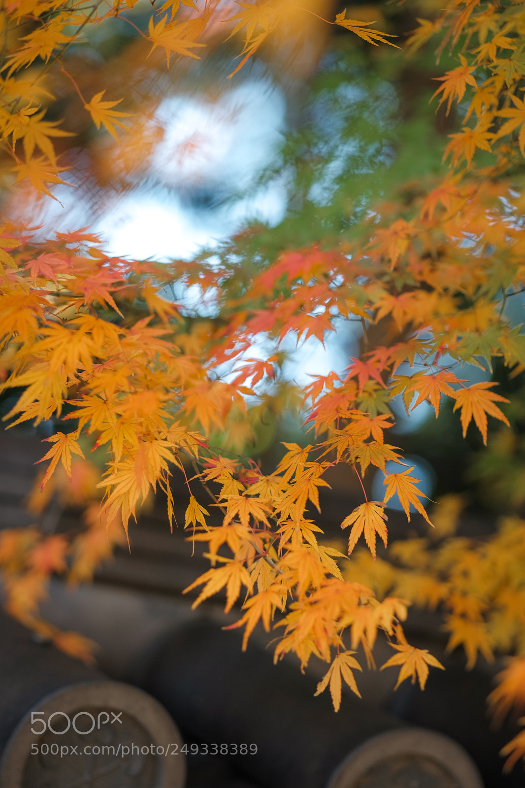 Fujifilm X-Pro2 sample photo. Untitled photography