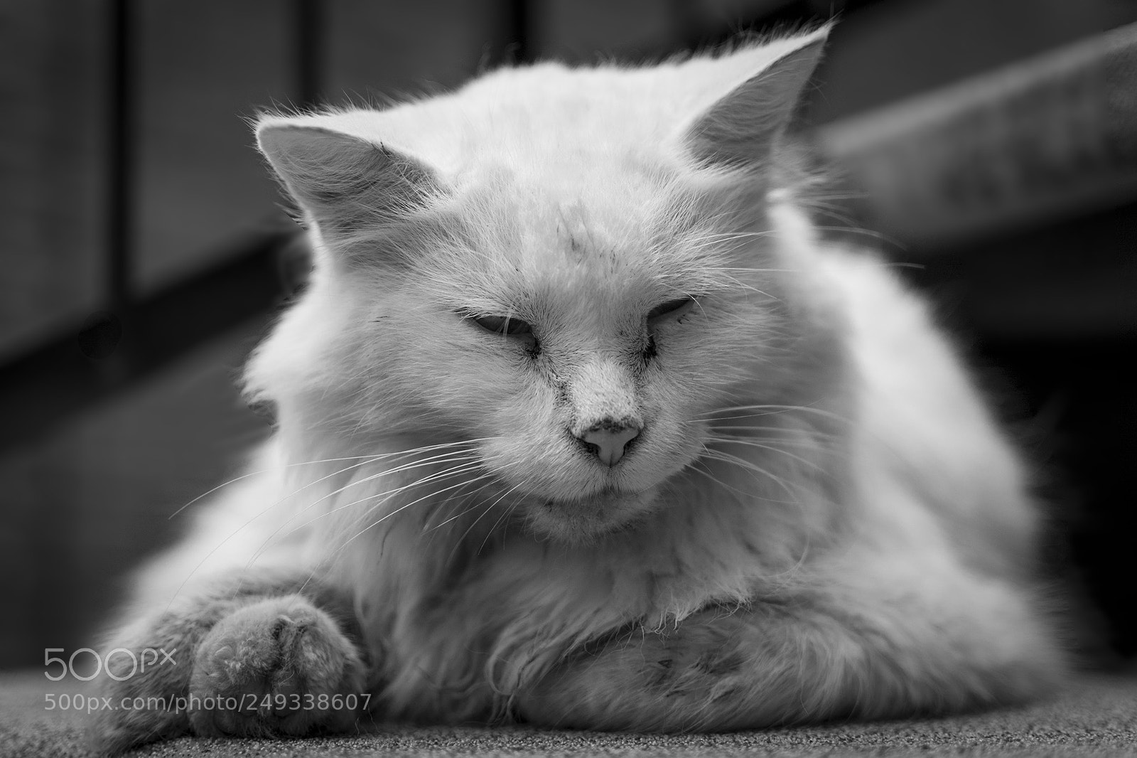 Nikon D5200 sample photo. Untitled photography