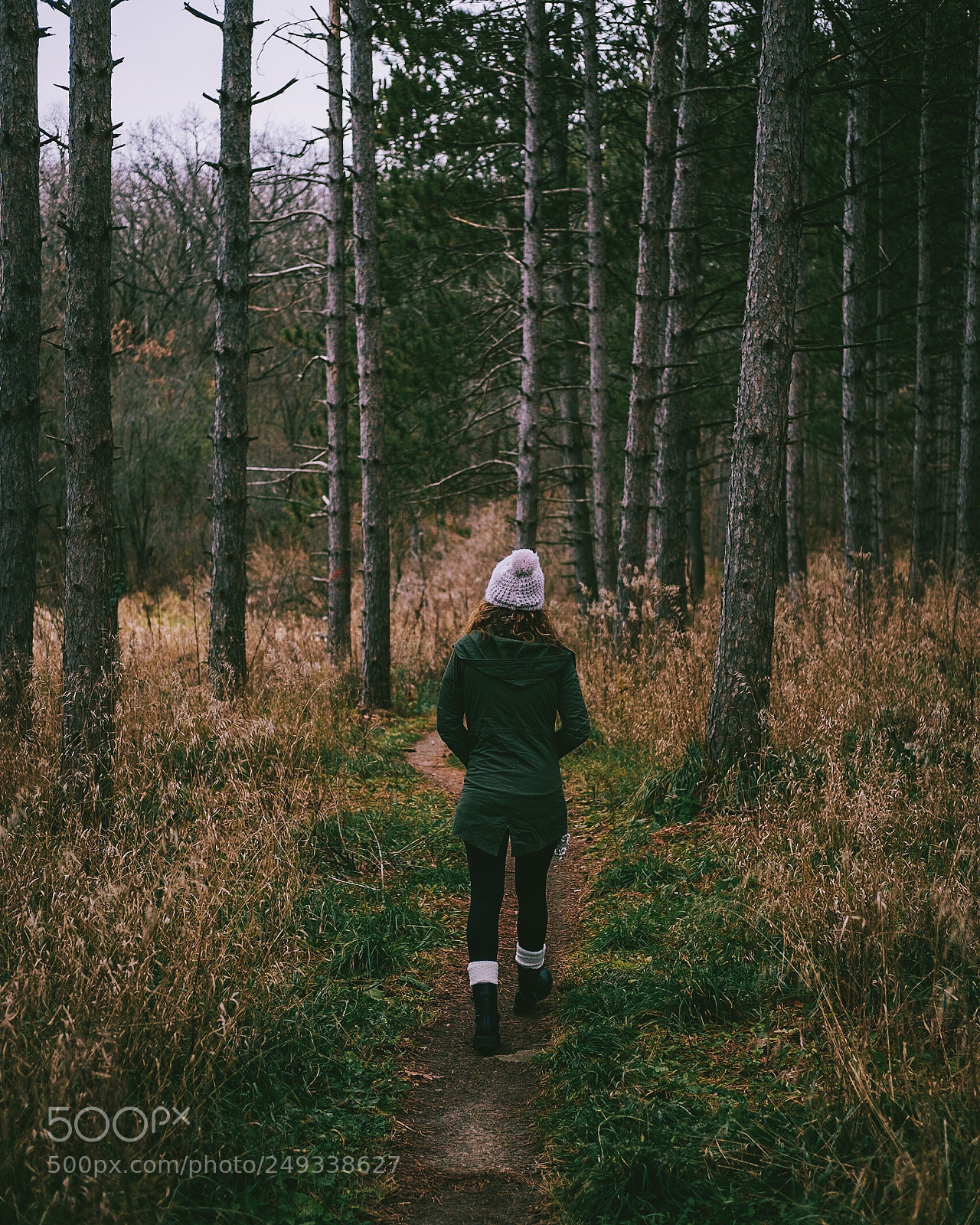 Fujifilm X-T10 sample photo. Wisconsin hikes photography