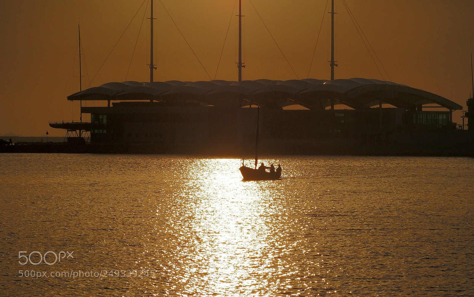 Olympus OM-D E-M5 sample photo. Sea of gold photography
