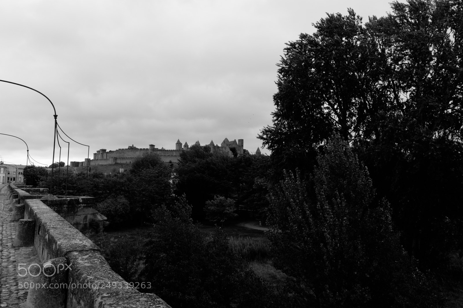 Fujifilm X-E2 sample photo. Paf17001.jpg photography