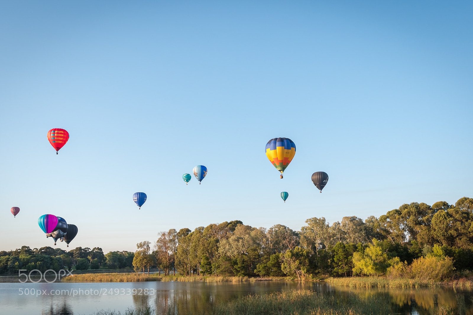 Nikon D500 sample photo. Balloons floating across the photography