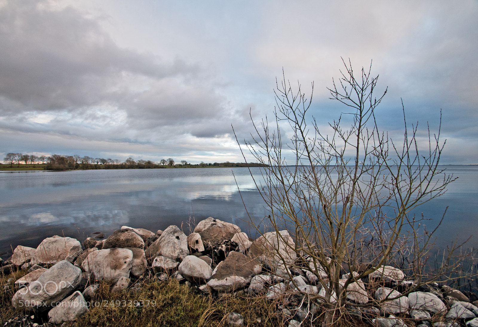Nikon D200 sample photo. Life at waters edge photography