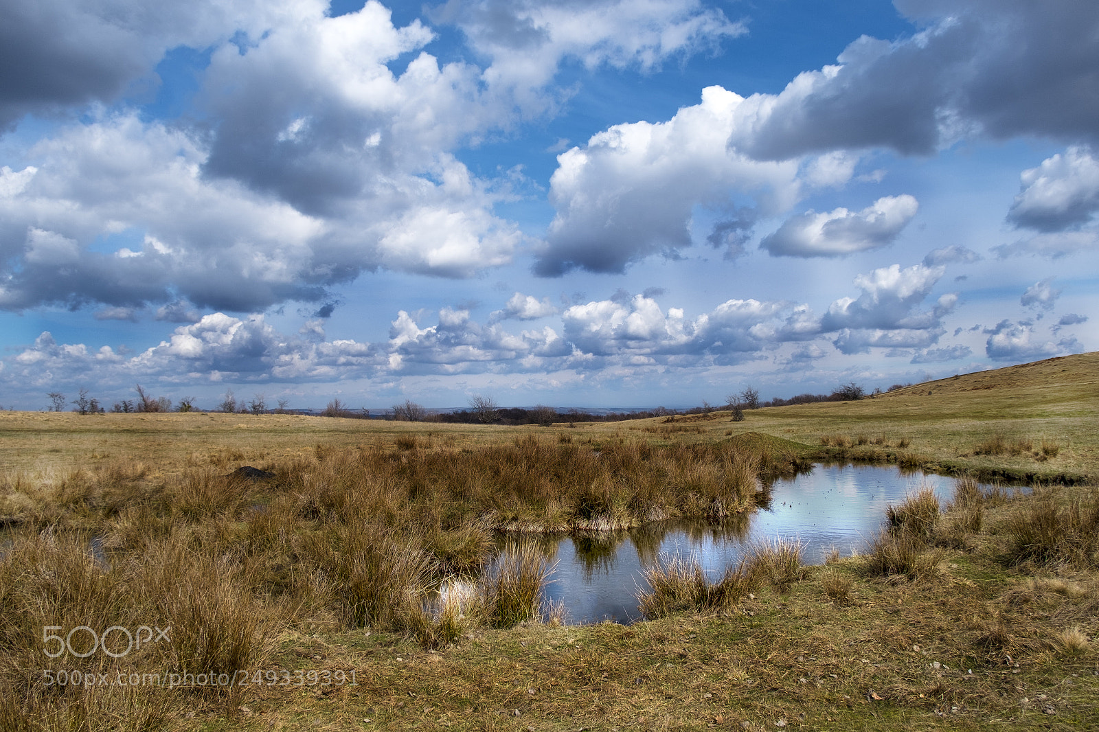 Fujifilm X-Pro1 sample photo. Spring clouds photography