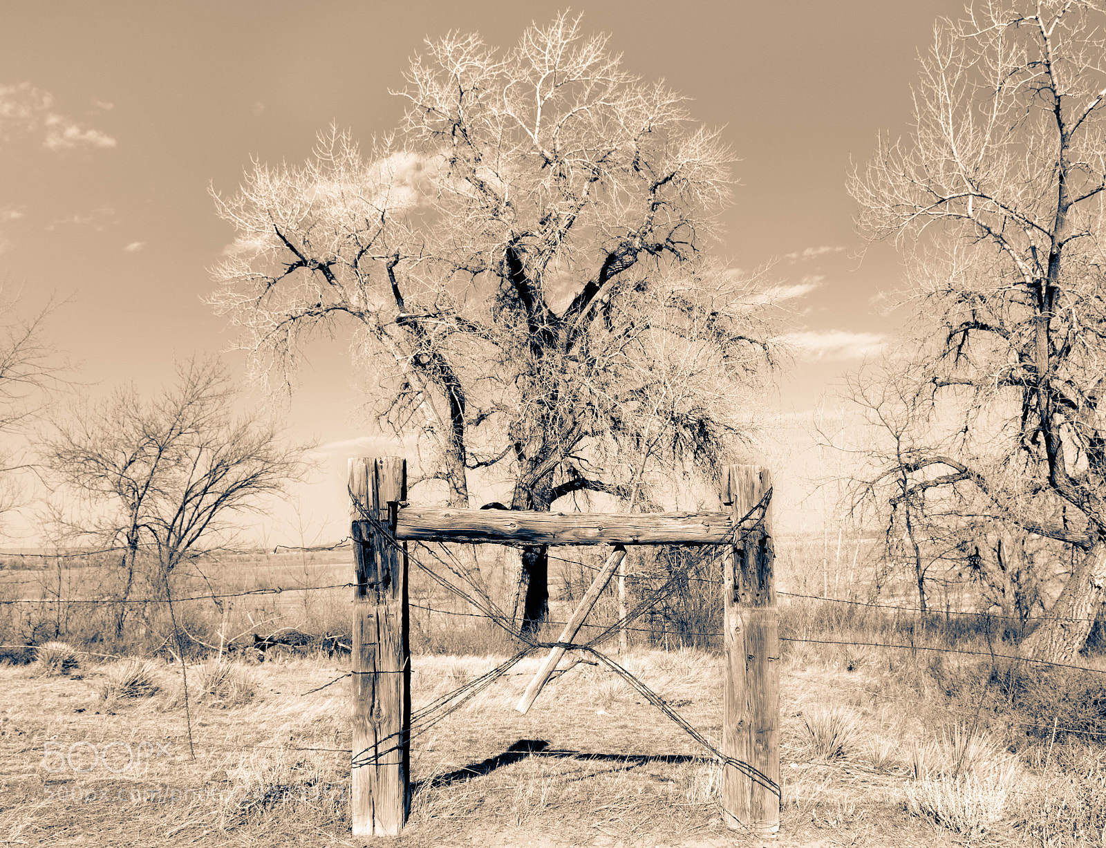 Nikon D7100 sample photo. The guardian photography