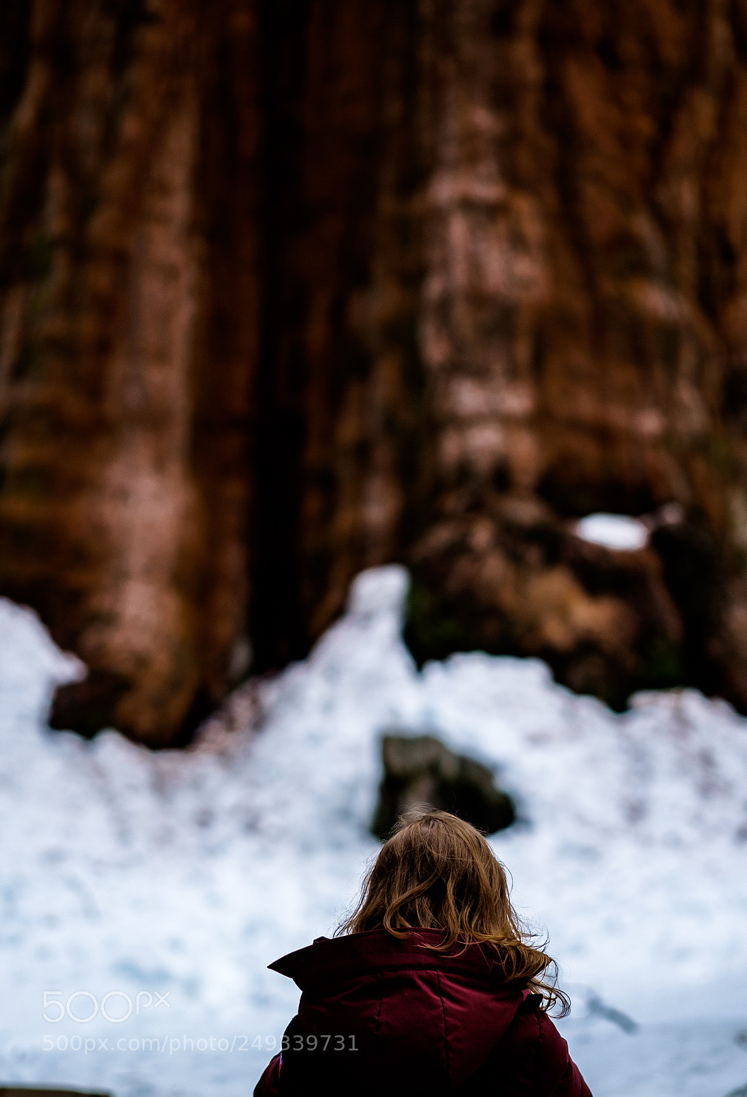 Fujifilm X-E2 sample photo. Facing the giant photography