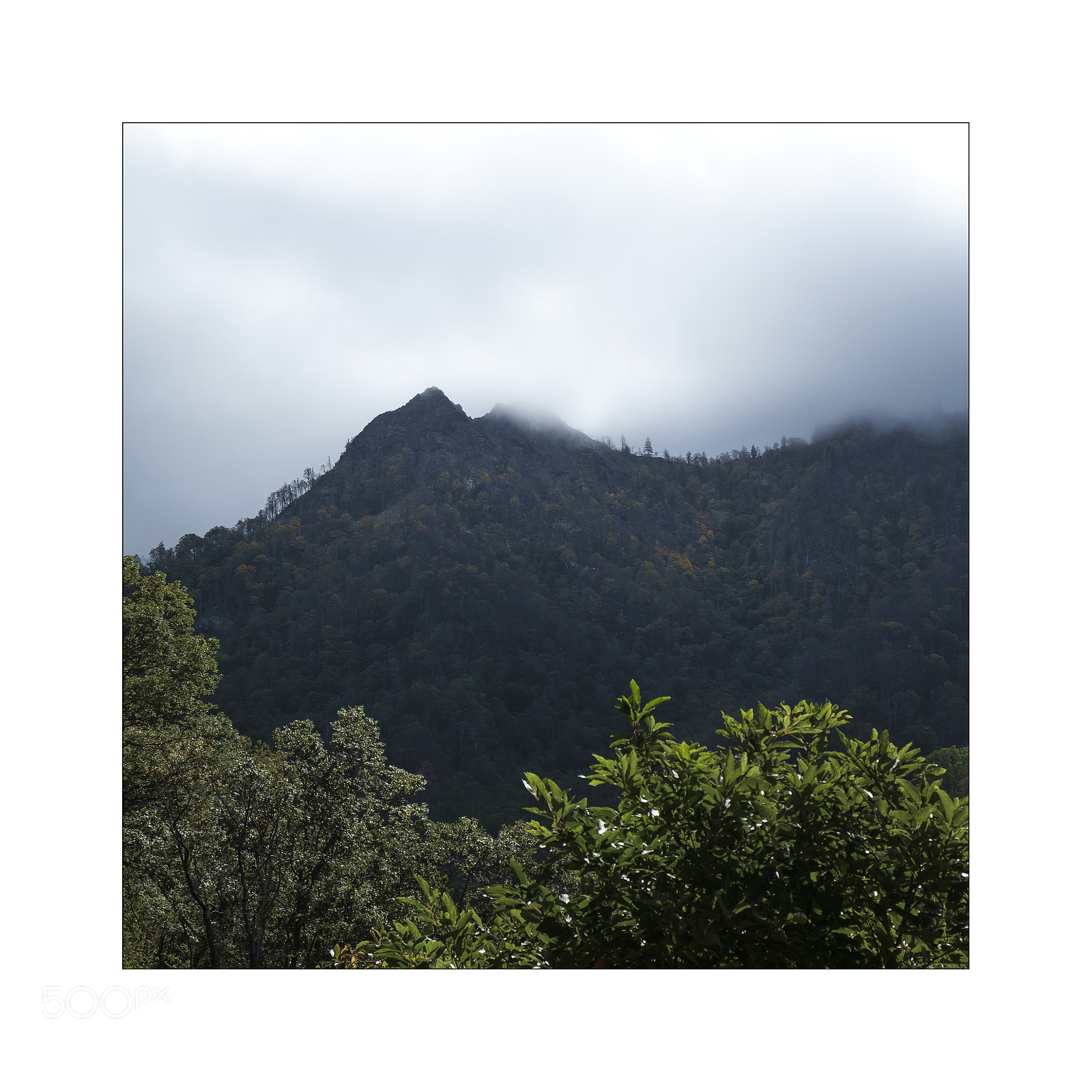 Fujifilm X-E1 sample photo. The great smoky mountain ... photography
