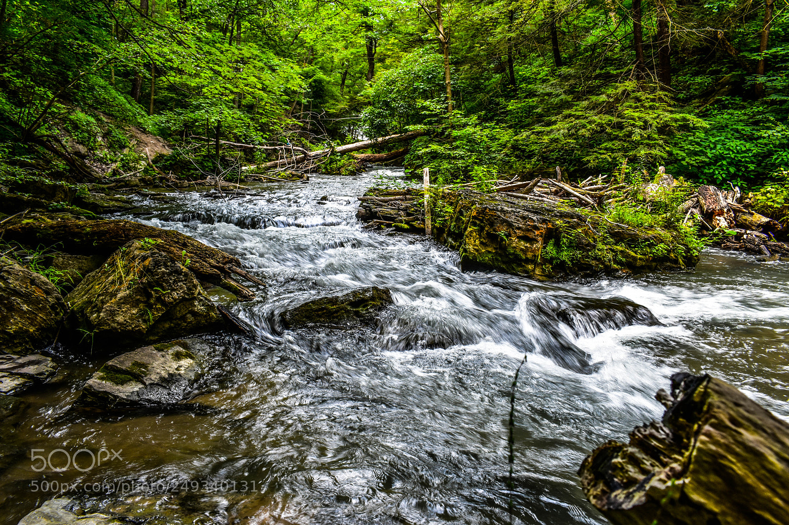 Nikon D3400 sample photo. Decew falls photography