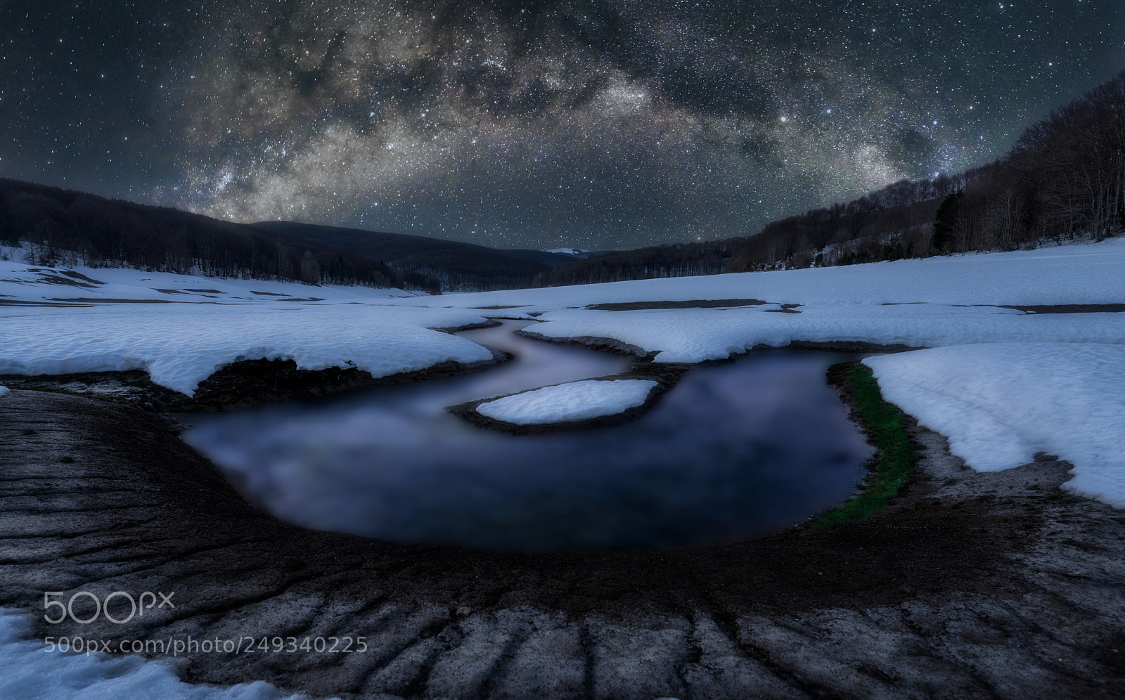 Nikon D810 sample photo. Winter elements photography