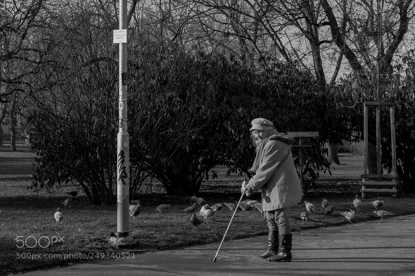 Fujifilm X-T10 sample photo. Fadeaway.jpg photography