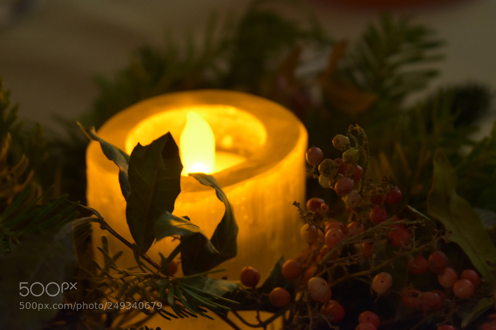 Nikon D3400 sample photo. Candle in the plant photography