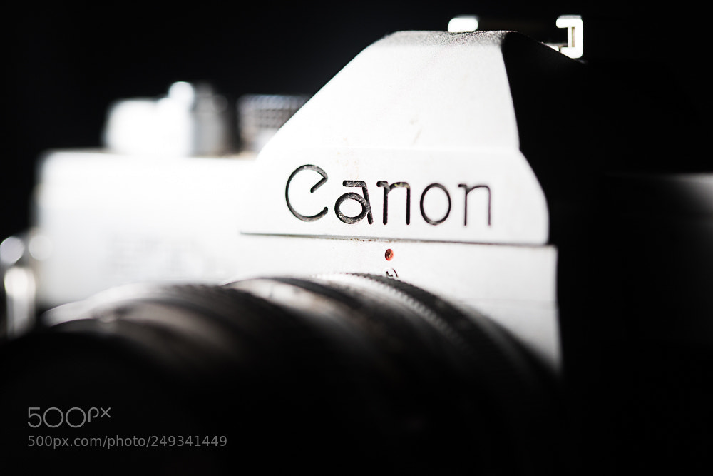 Canon EOS 5D Mark IV sample photo. "where is the touchscreen?" photography