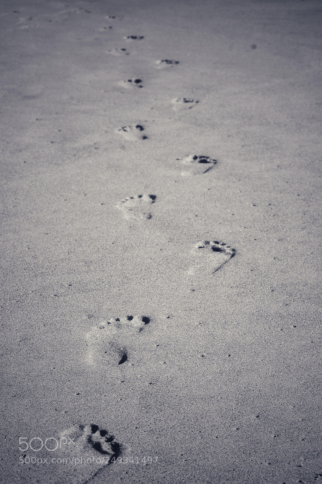 Nikon D40 sample photo. Untitled photography