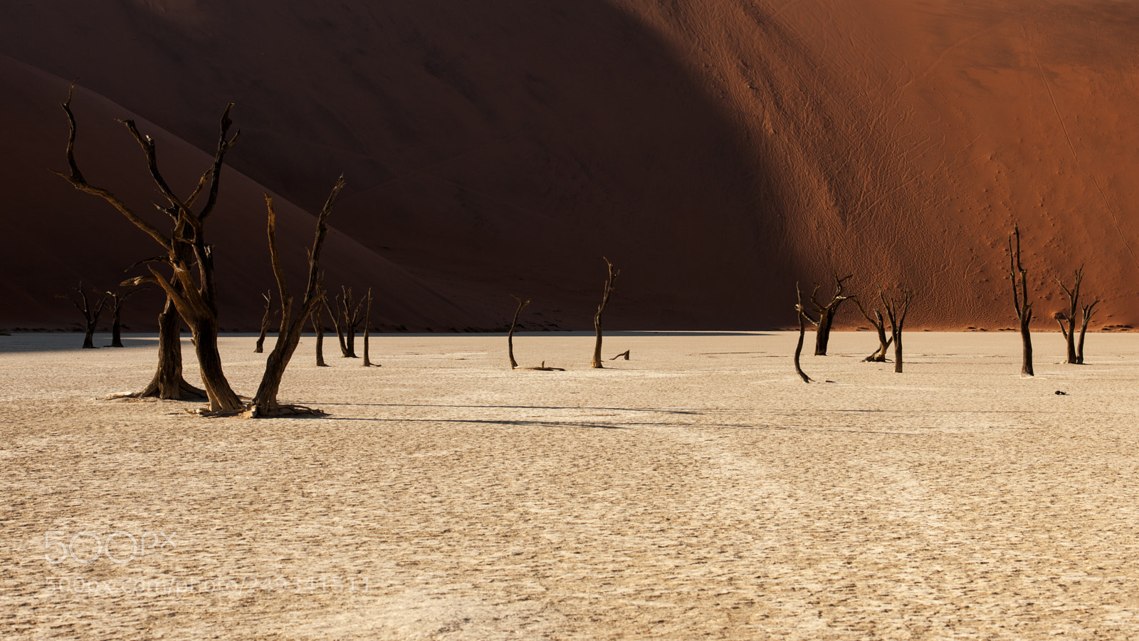 Nikon D3X sample photo. On the mars :-) photography