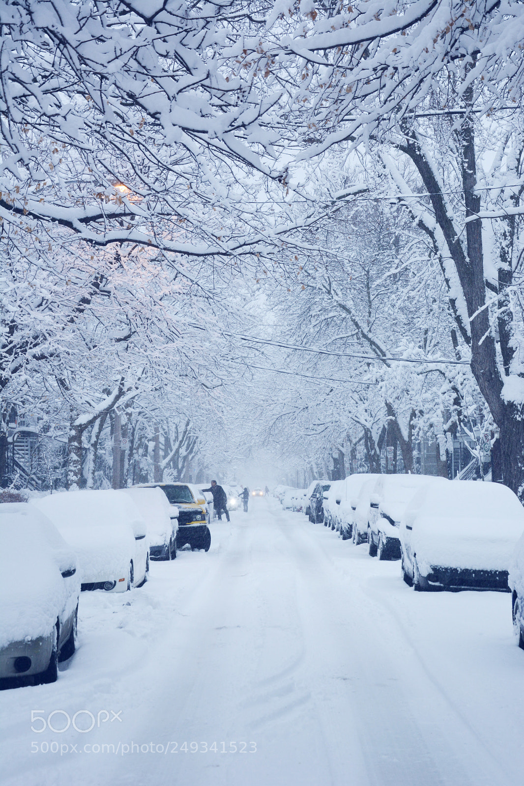 Nikon D7100 sample photo. Snow day in montreal photography