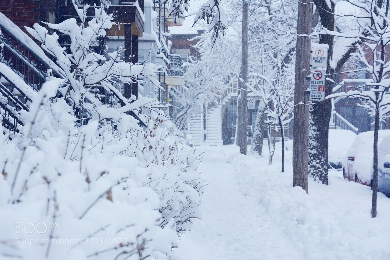 Nikon D7100 sample photo. Snow day in montreal photography