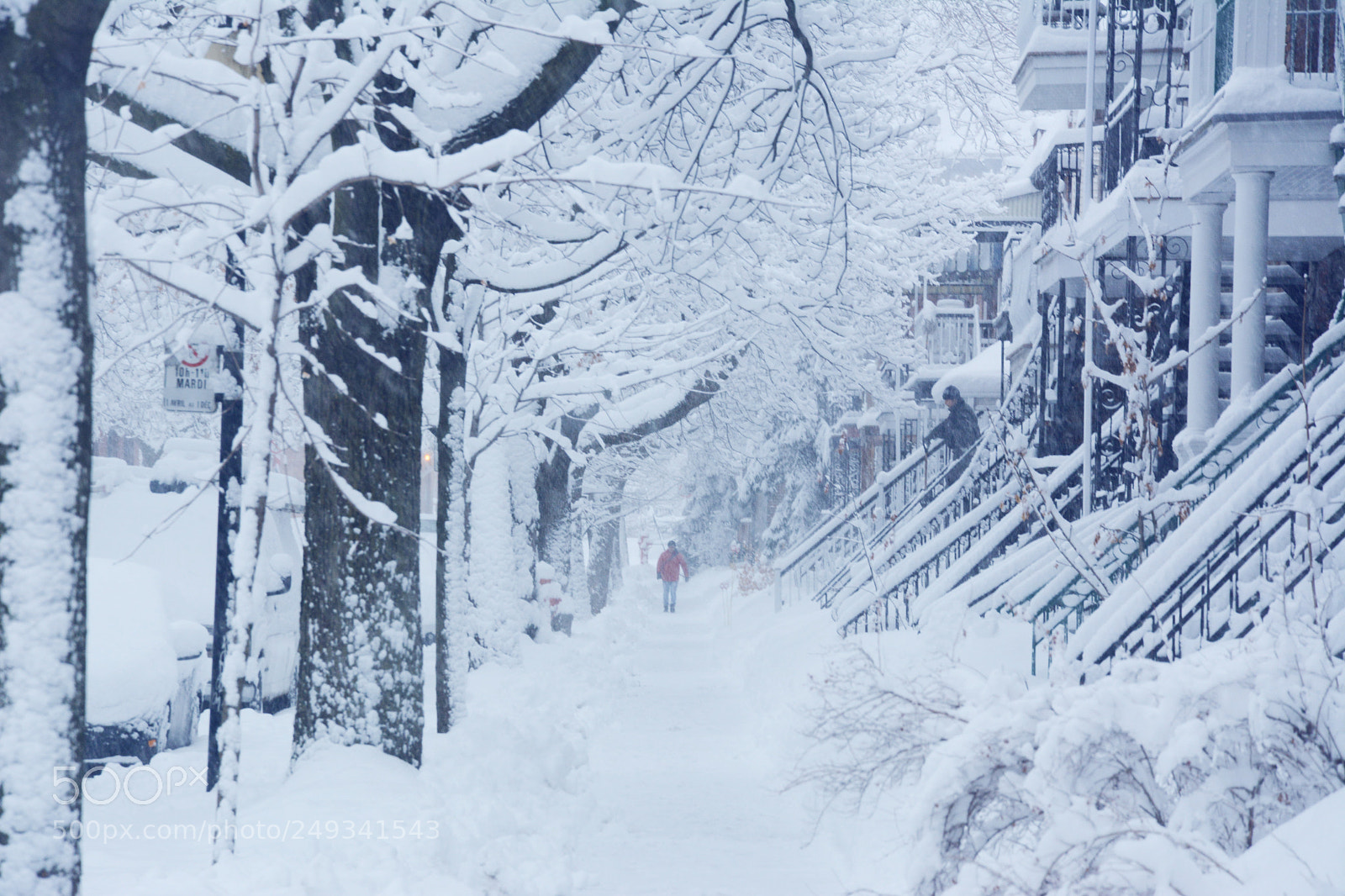 Nikon D7100 sample photo. Snow day in montreal photography