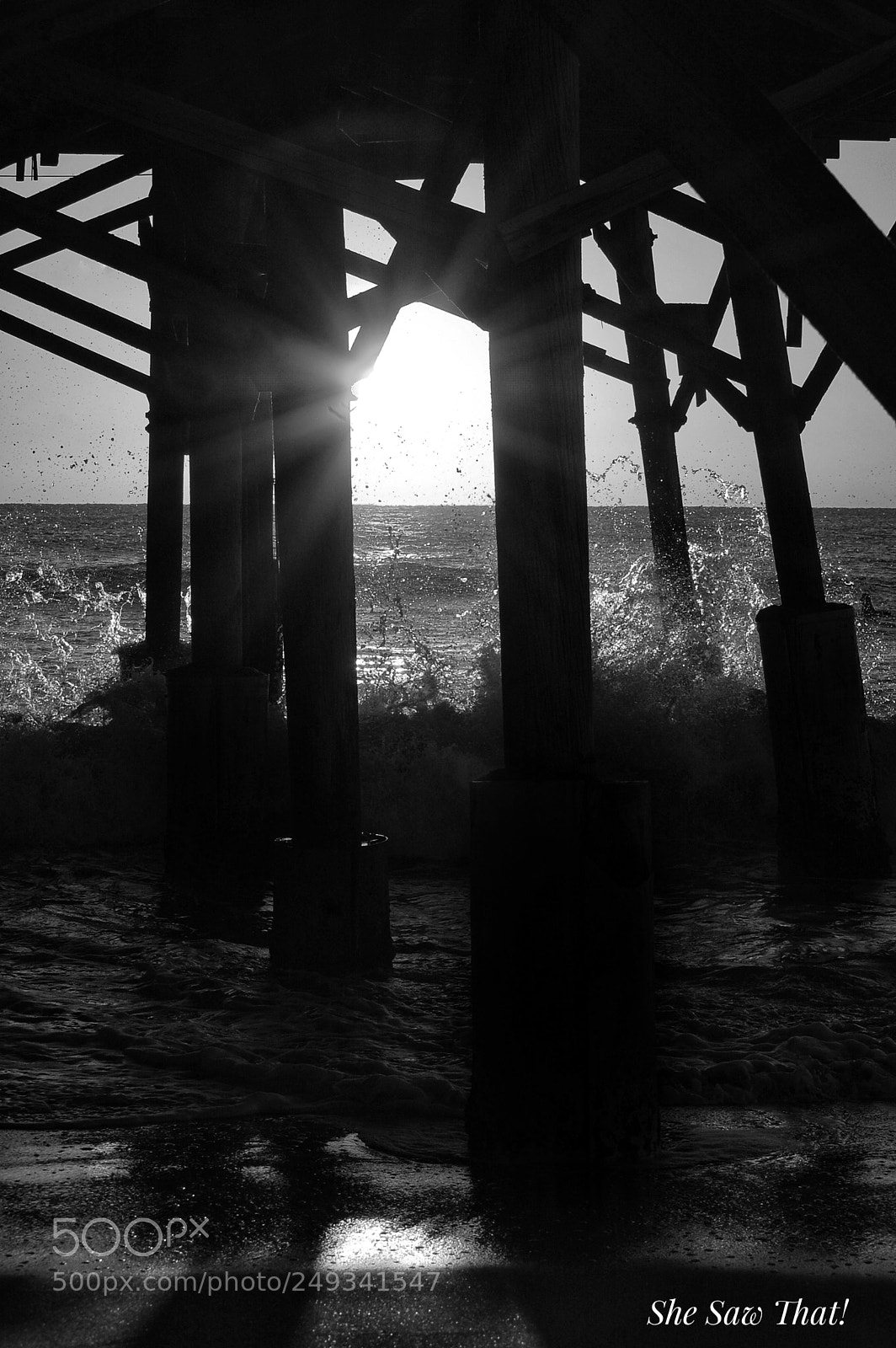 Nikon D40 sample photo. Untitled photography