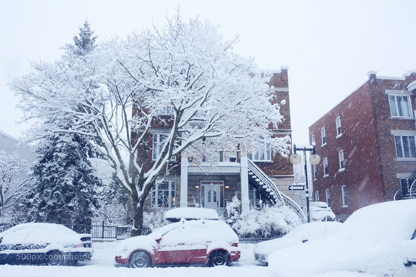 Nikon D7100 sample photo. Snow day in montreal photography