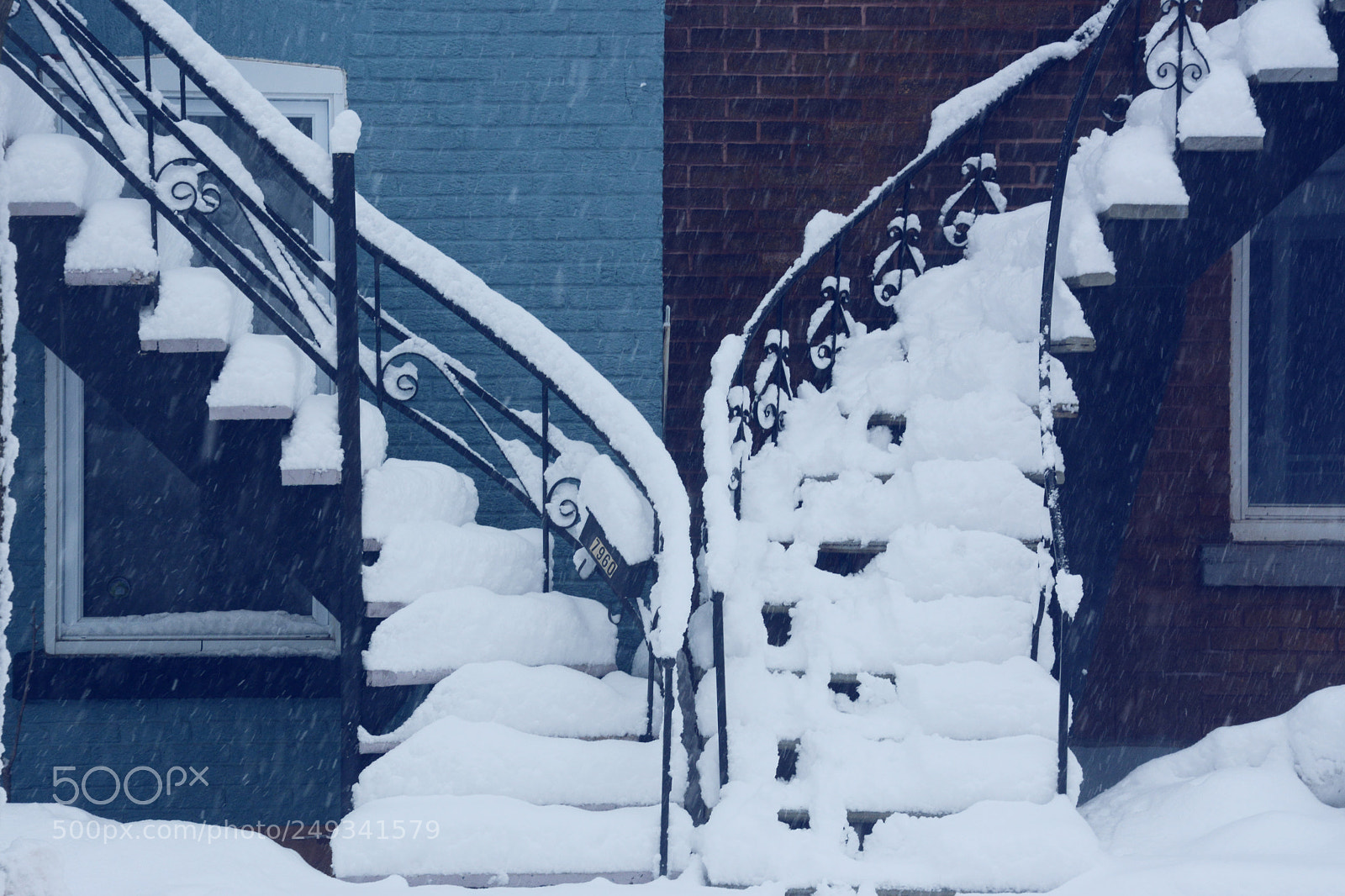 Nikon D7100 sample photo. Snow day in montreal photography
