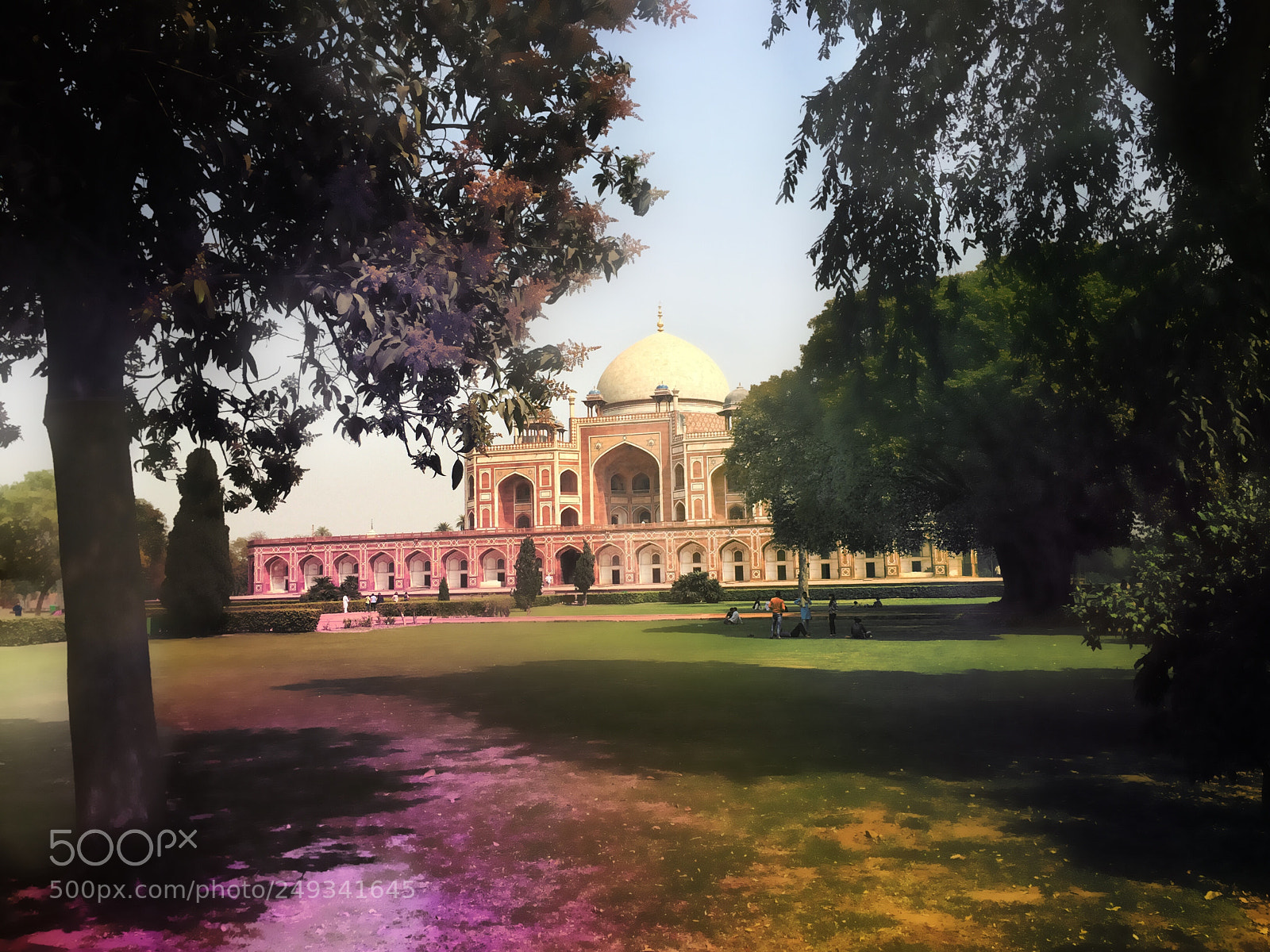Apple iPhone 6 sample photo. The tree shades photography