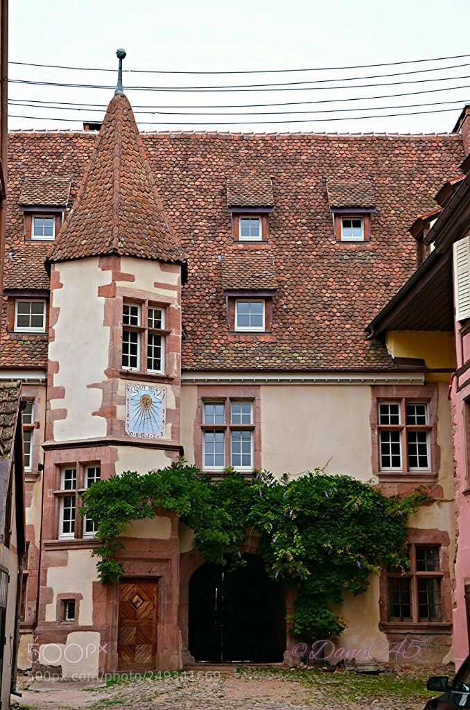 Nikon D5100 sample photo. Alsace (14) photography