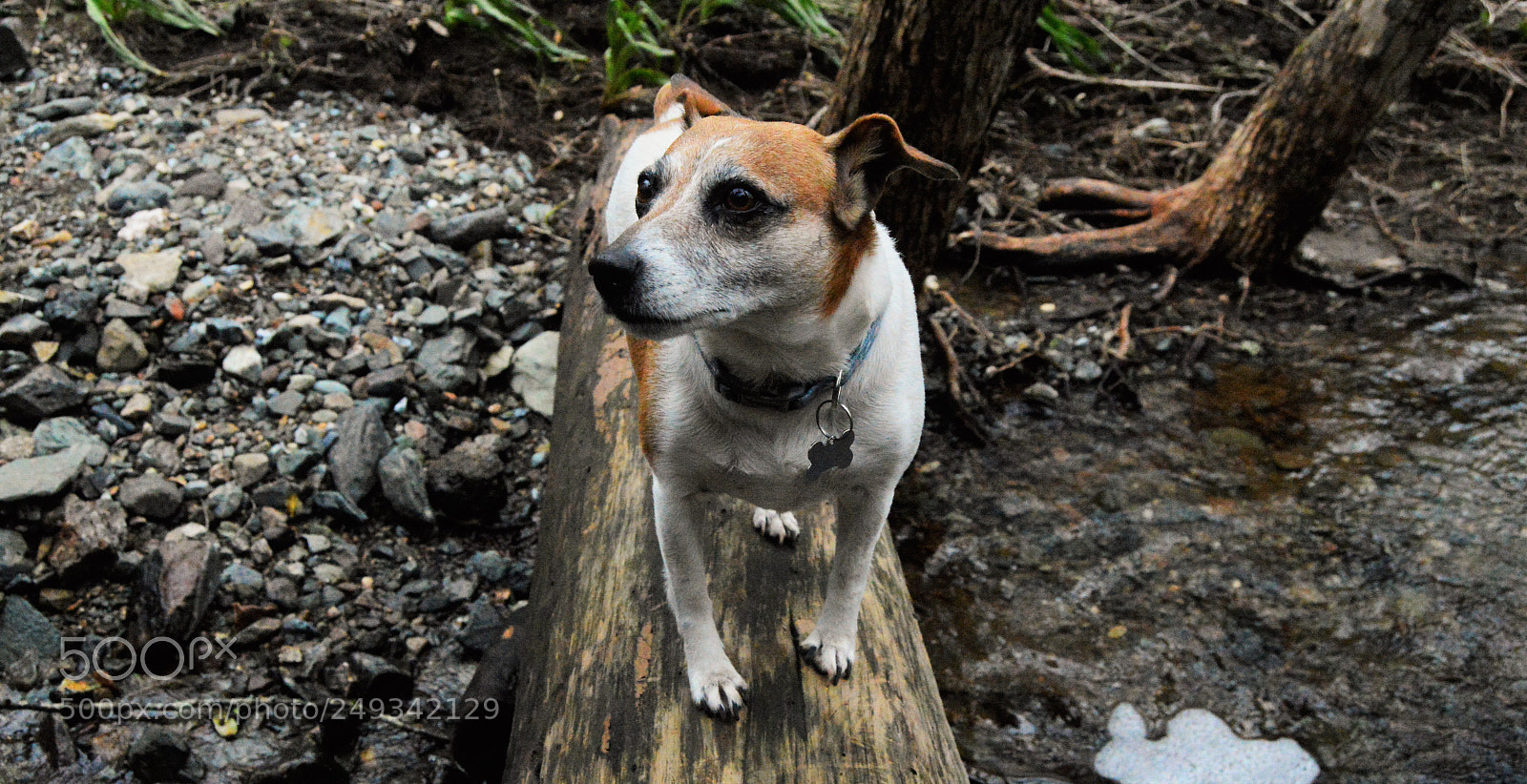 Nikon D3200 sample photo. () photography