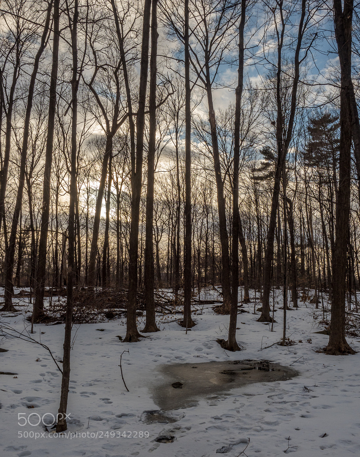 Olympus OM-D E-M1 Mark II sample photo. Early spring at mud photography