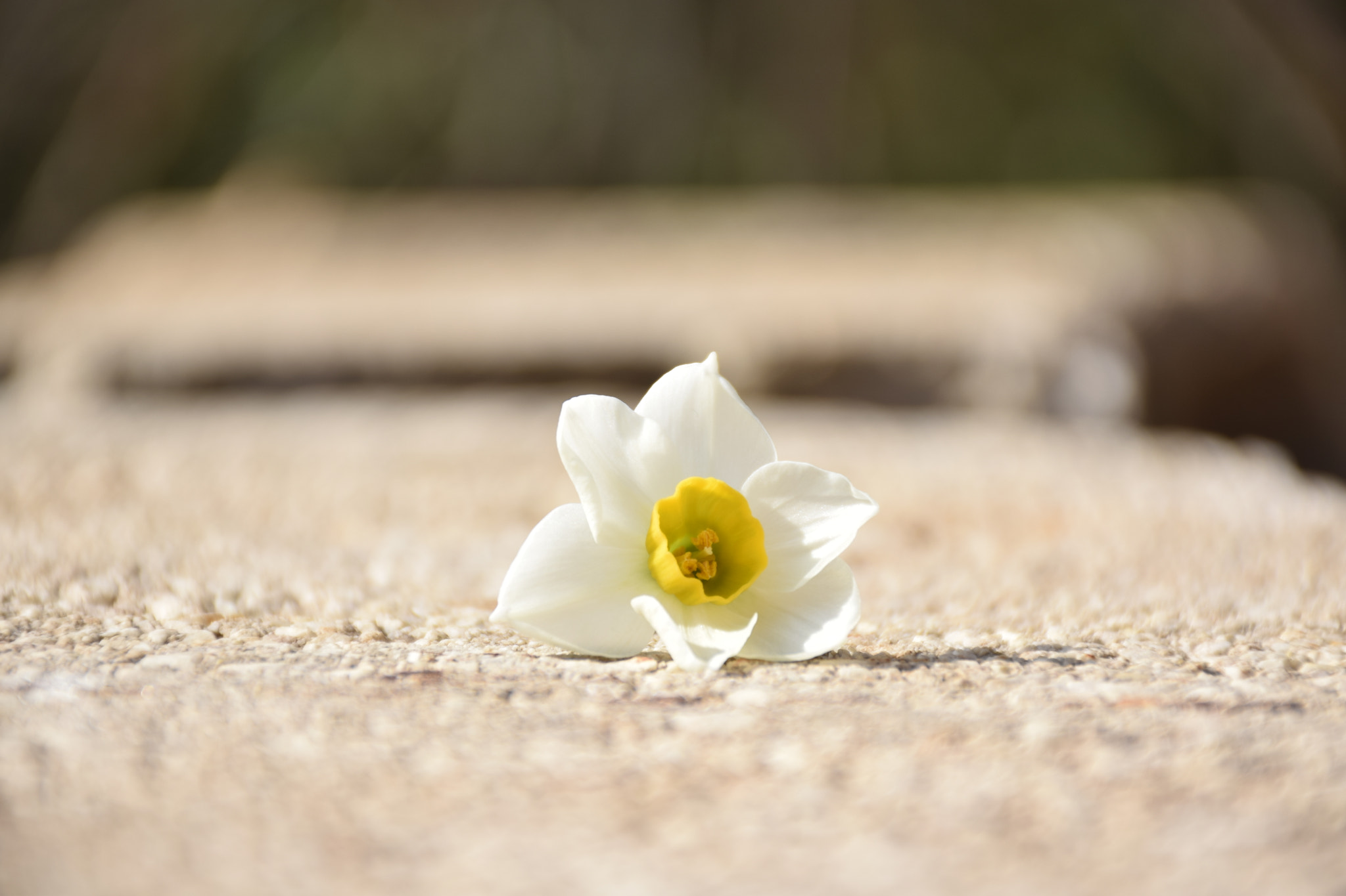Nikon D3300 sample photo