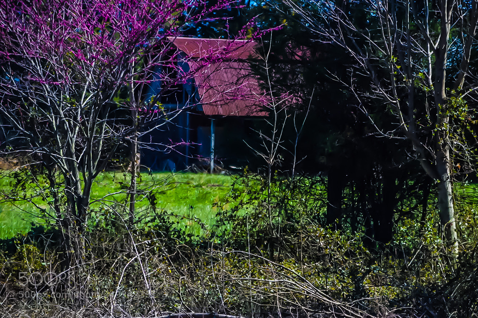 Nikon D5300 sample photo. Old barn photography