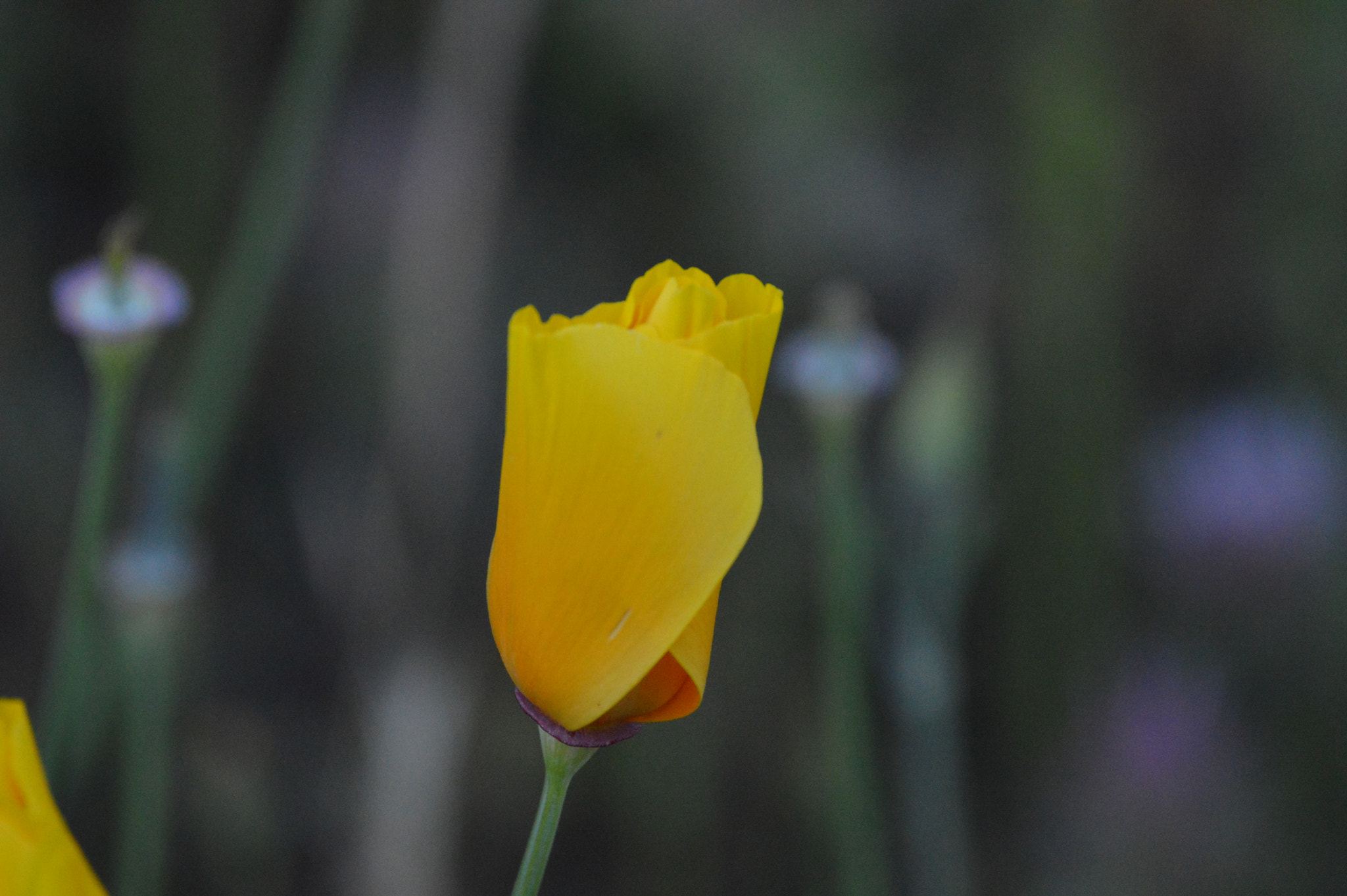Nikon D3200 sample photo. Dsc photography