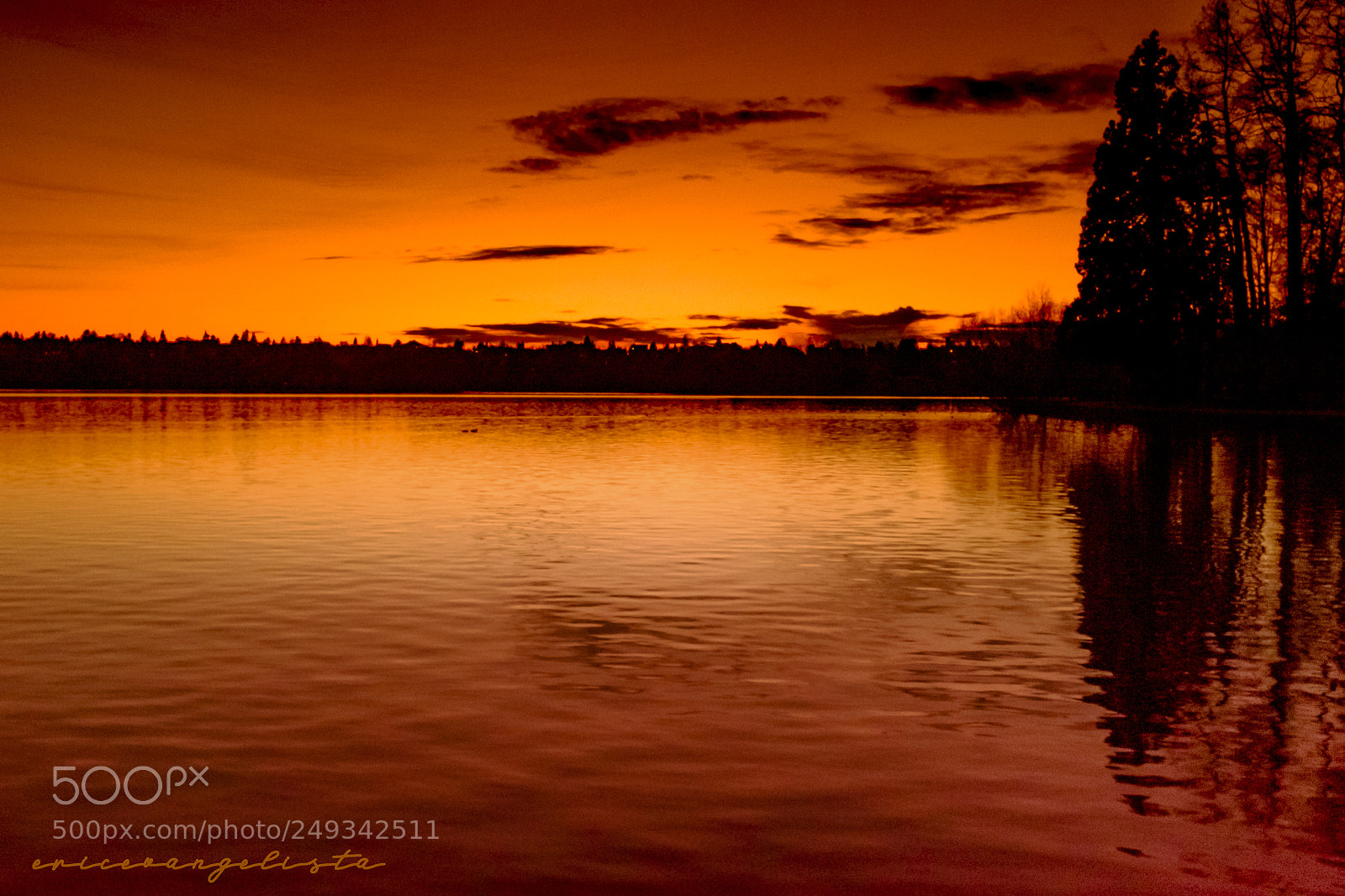 Fujifilm X100S sample photo. Sunset at greenlake park photography